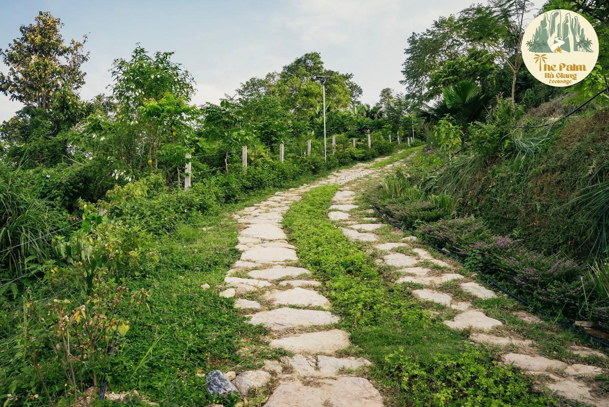 Tvpalm Ecolodge Ha Giang Exteriör bild