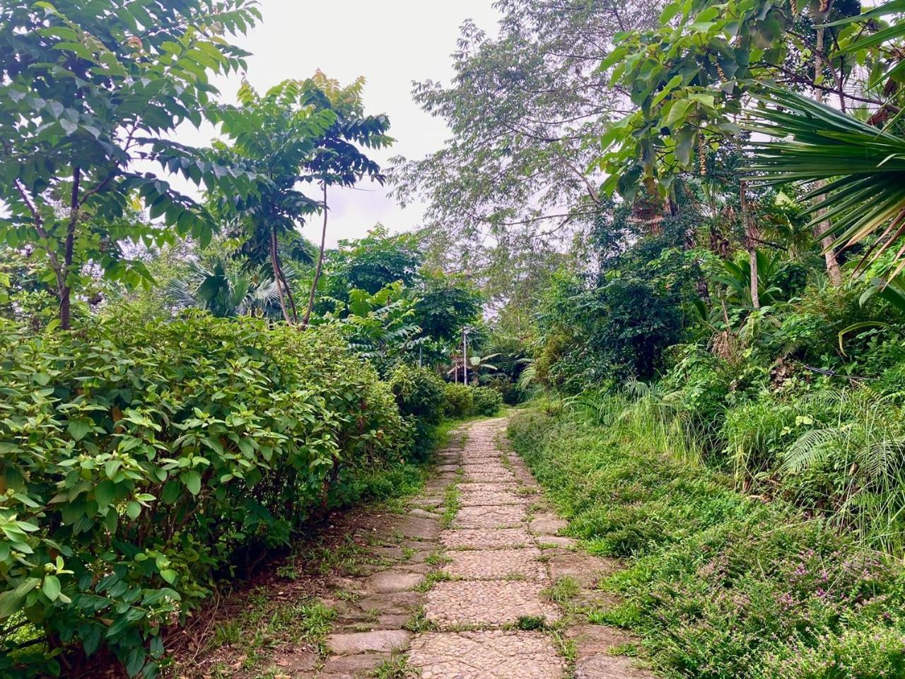 Tvpalm Ecolodge Ha Giang Exteriör bild