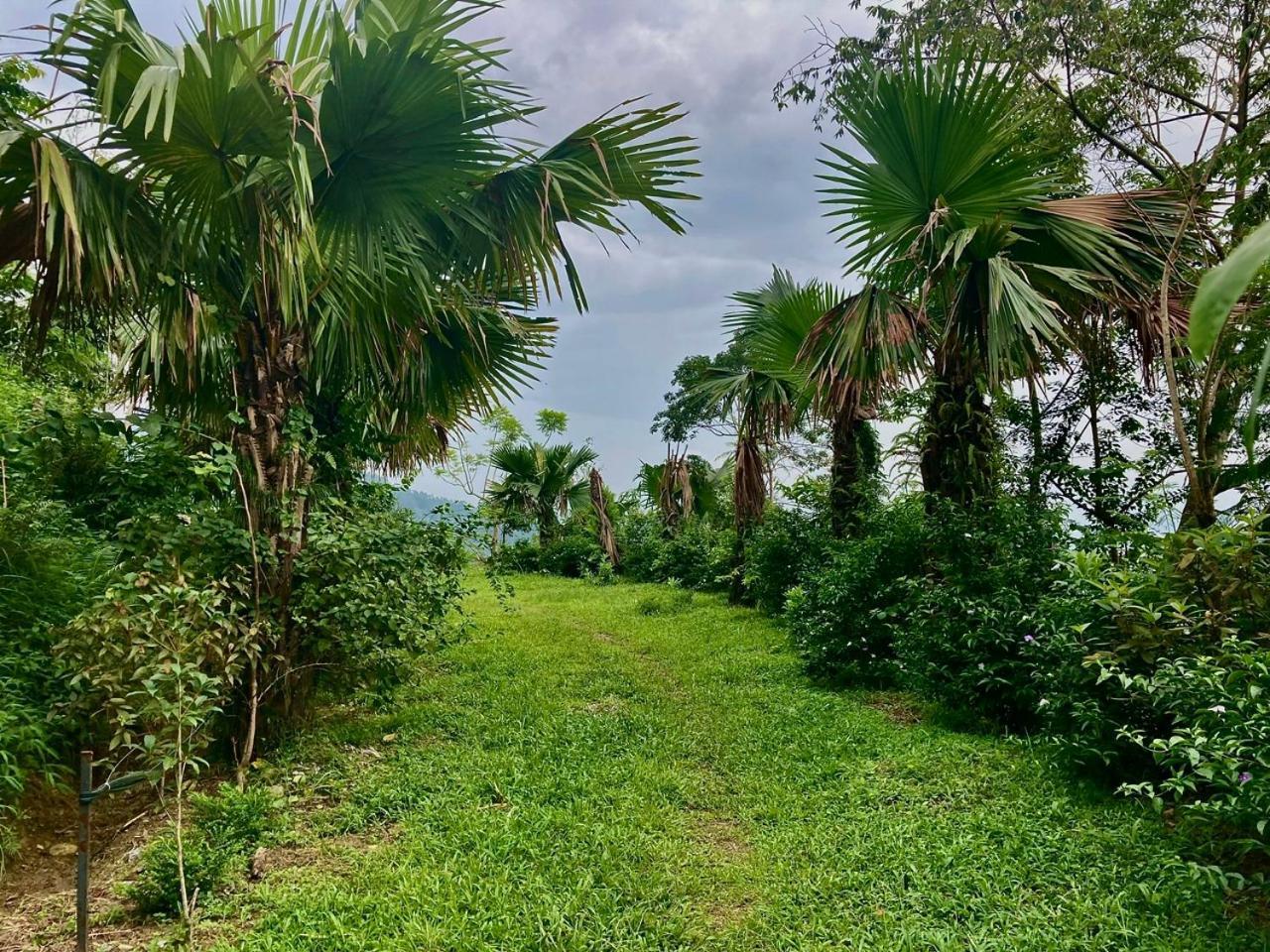 Tvpalm Ecolodge Ha Giang Exteriör bild