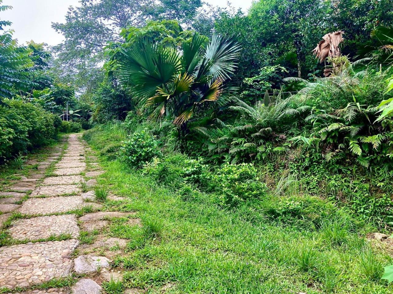 Tvpalm Ecolodge Ha Giang Exteriör bild