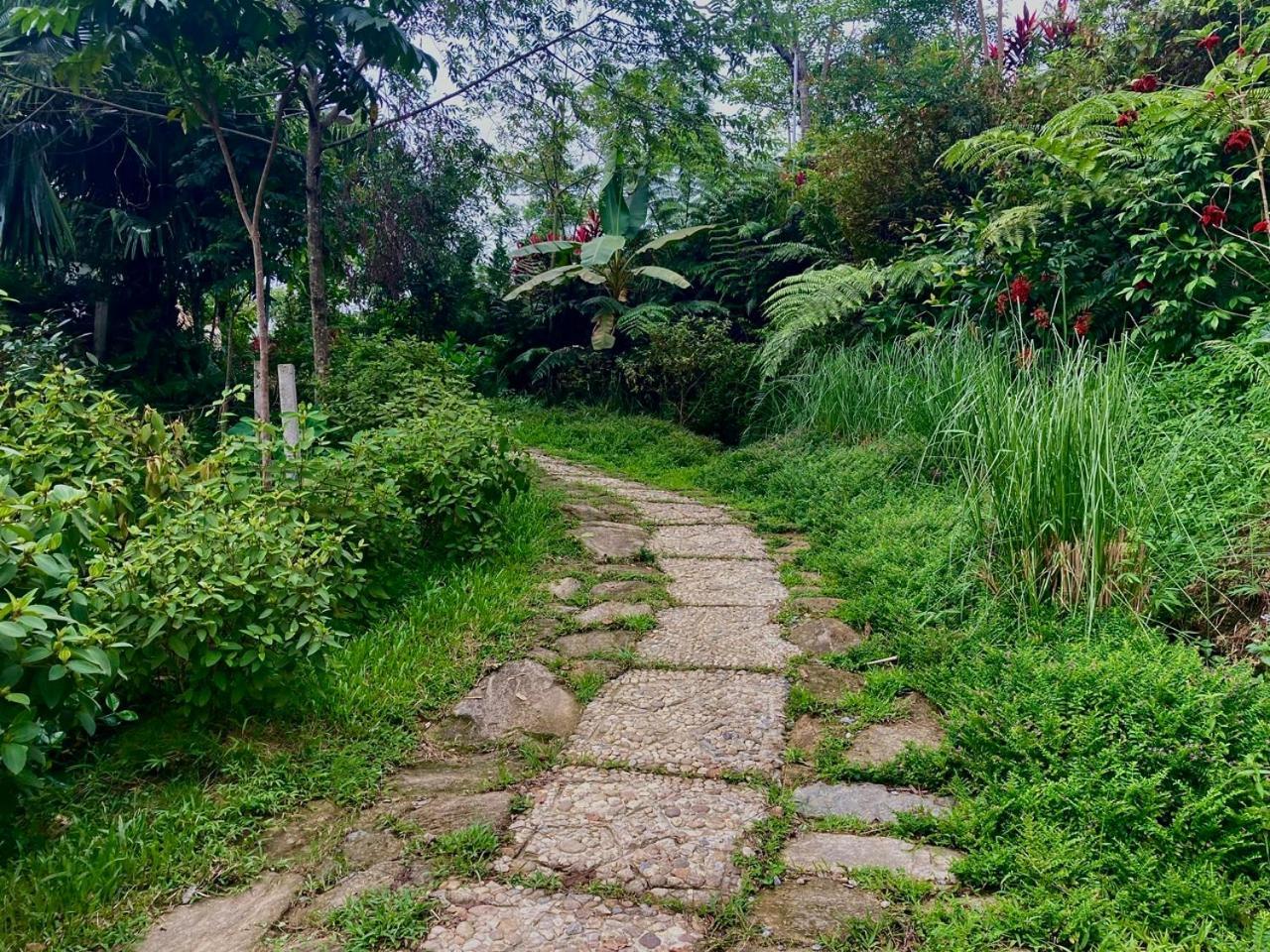 Tvpalm Ecolodge Ha Giang Exteriör bild